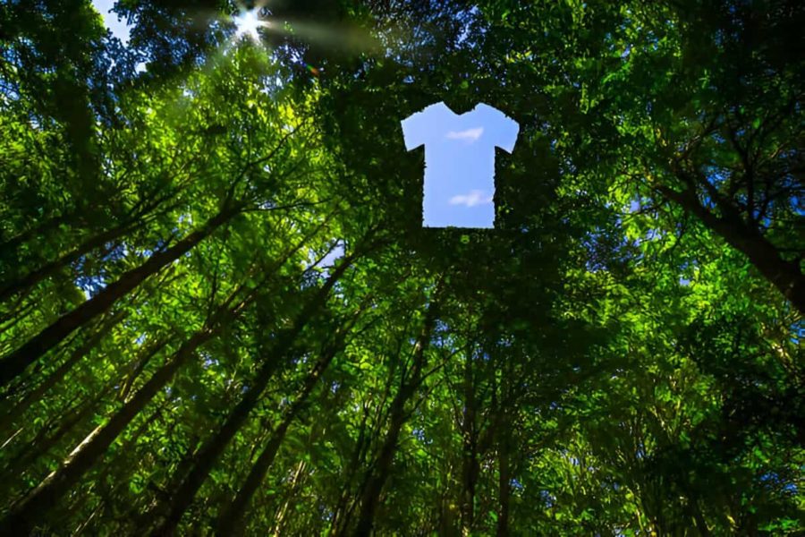 Forme de t-shirt dans forêt certification textile